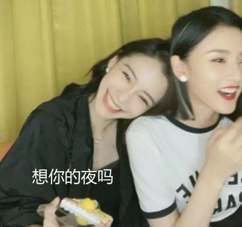 铁锤妹妹娱乐圈吃瓜视频,揭秘明星幕后故事