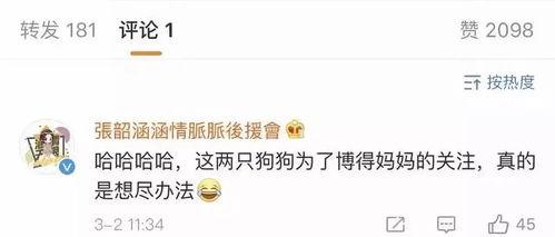 娱乐吃瓜酱属于什么标签